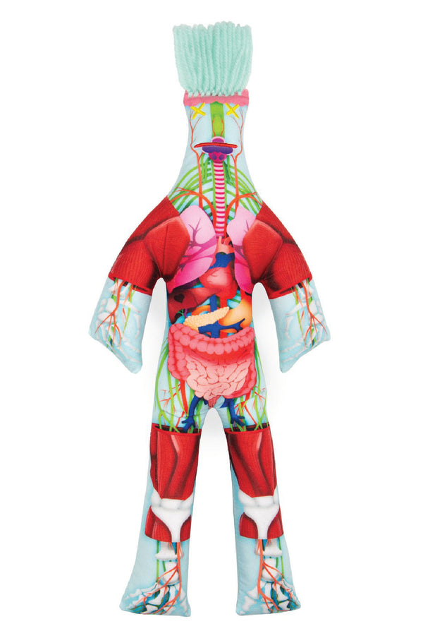 ANATOMY STRESS DOLL